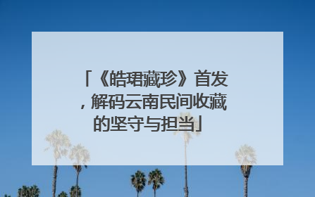 《皓珺藏珍》首发，解码云南民间收藏的坚守与担当