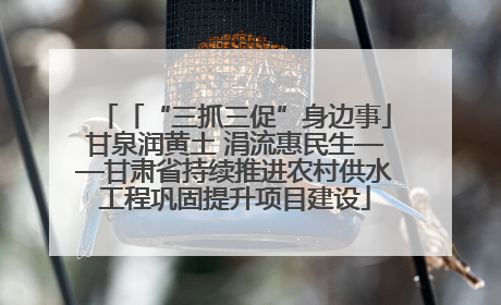 「“三抓三促”身边事」甘泉润黄土 涓流惠民生——甘肃省持续推进农村供水工程巩固提升项目建设