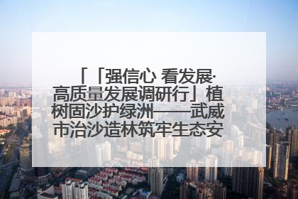 「强信心 看发展·高质量发展调研行」植树固沙护绿洲——武威市治沙造林筑牢生态安全屏障见闻