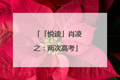 「悦读」肖凌之：两次高考