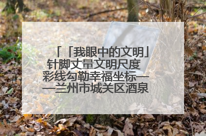 「我眼中的文明」针脚丈量文明尺度 彩线勾勒幸福坐标——兰州市城关区酒泉路街道办事处
