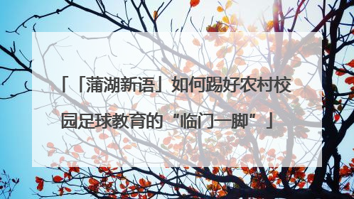 「蒲湖新语」如何踢好农村校园足球教育的“临门一脚”