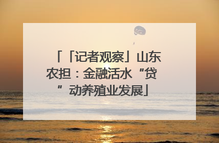 「记者观察」山东农担：金融活水“贷”动养殖业发展