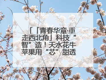 「青春华章·重走西北角」科技“智”造！天水花牛苹果用“芯”甜透你的味蕾