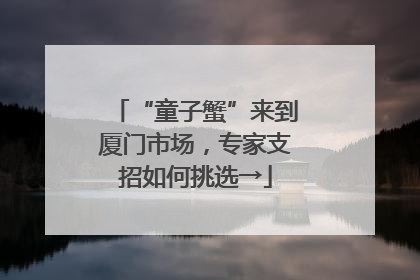 “童子蟹”来到厦门市场，专家支招如何挑选→