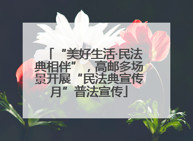 “美好生活·民法典相伴”，高邮多场景开展“民法典宣传月”普法宣传