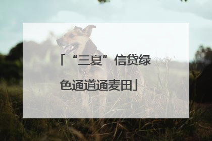 “三夏”信贷绿色通道通麦田