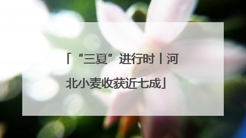 “三夏”进行时丨河北小麦收获近七成