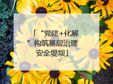 “党建+化解”构筑基层治理安全堤坝