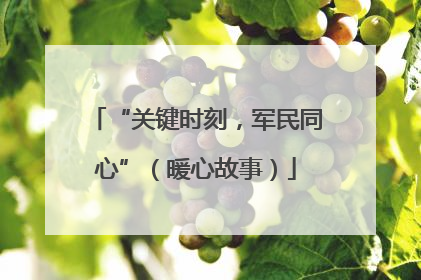 “关键时刻，军民同心”（暖心故事）