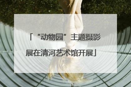 “动物园”主题摄影展在清河艺术馆开展
