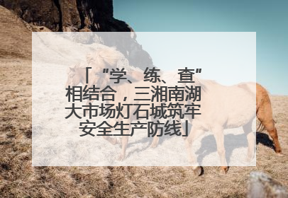 “学、练、查”相结合，三湘南湖大市场灯石城筑牢安全生产防线