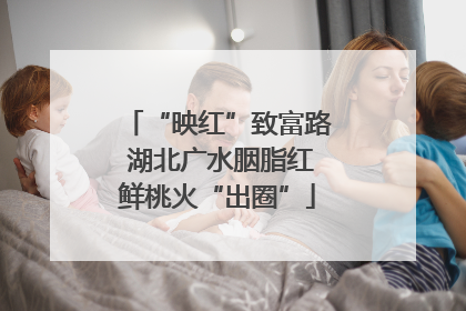 “映红”致富路 湖北广水胭脂红鲜桃火“出圈”