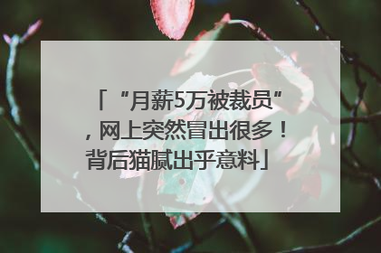 “月薪5万被裁员”，网上突然冒出很多！背后猫腻出乎意料