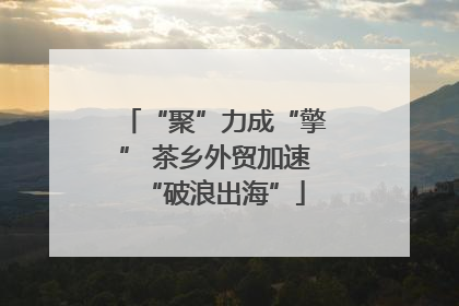 “聚”力成“擎” 茶乡外贸加速“破浪出海”