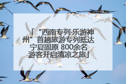 “西南专列·乐游神州”首趟旅游专列抵达宁夏固原 800余名游客开启清凉之旅
