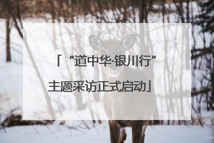 “道中华·银川行”主题采访正式启动