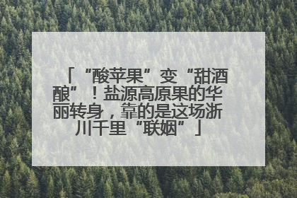 “酸苹果”变“甜酒酿”！盐源高原果的华丽转身，靠的是这场浙川千里“联姻”