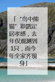 “鸟中熊猫”彩鹮定居孝感，去年仅观测到1只，而今年全家齐现身