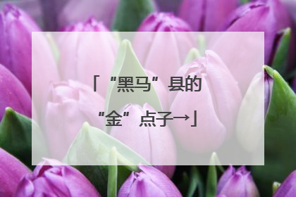 “黑马”县的“金”点子→