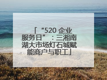 “520 企业服务日”：三湘南湖大市场灯石城赋能商户与职工
