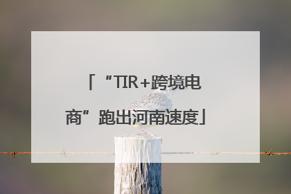 “TIR+跨境电商”跑出河南速度