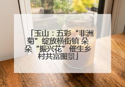 玉山：五彩“非洲菊”绽放横街镇 朵朵“振兴花”催生乡村共富图景