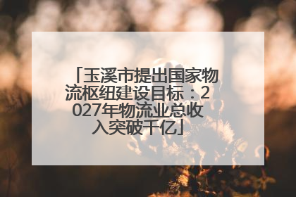玉溪市提出国家物流枢纽建设目标：2027年物流业总收入突破千亿