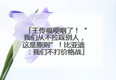 王传福哽咽了！“我们从不拉踩别人，这是原则”！比亚迪：我们不打价格战