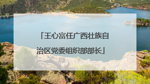 王心富任广西壮族自治区党委组织部部长