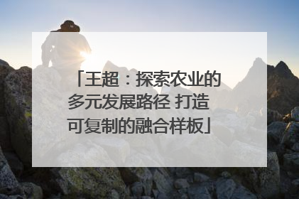 王超：探索农业的多元发展路径 打造可复制的融合样板