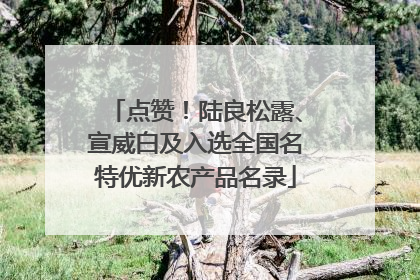 点赞！陆良松露、宣威白及入选全国名特优新农产品名录