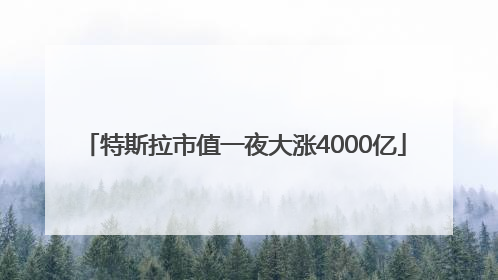 特斯拉市值一夜大涨4000亿