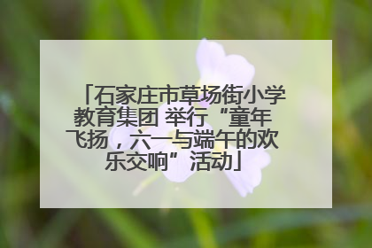 石家庄市草场街小学教育集团 举行“童年飞扬，六一与端午的欢乐交响”活动