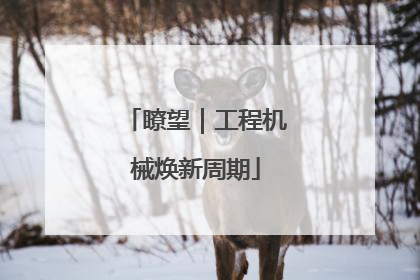 瞭望｜工程机械焕新周期