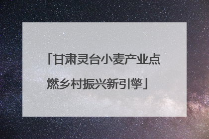 甘肃灵台小麦产业点燃乡村振兴新引擎