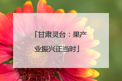 甘肃灵台：果产业振兴正当时