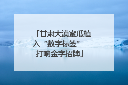 甘肃大漠蜜瓜植入“数字标签” 打响金字招牌