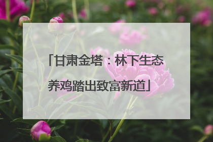 甘肃金塔：林下生态养鸡踏出致富新道