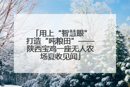 用上“智慧眼” 打造“吨粮田”——陕西宝鸡一座无人农场夏收见闻