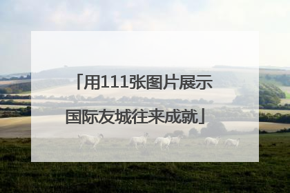 用111张图片展示国际友城往来成就