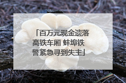 百万元现金遗落高铁车厢 蚌埠铁警紧急寻到失主