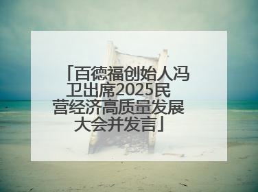 百德福创始人冯卫出席2025民营经济高质量发展大会并发言