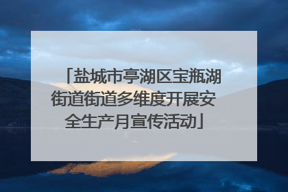盐城市亭湖区宝瓶湖街道街道多维度开展安全生产月宣传活动