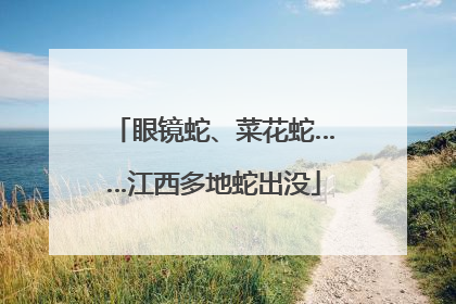 眼镜蛇、菜花蛇……江西多地蛇出没