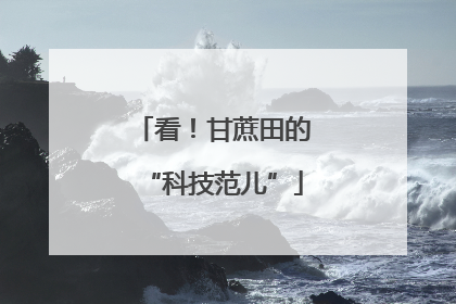 看！甘蔗田的“科技范儿”