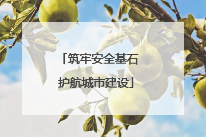 筑牢安全基石 护航城市建设