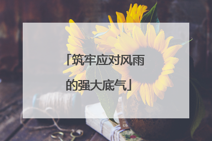 筑牢应对风雨的强大底气