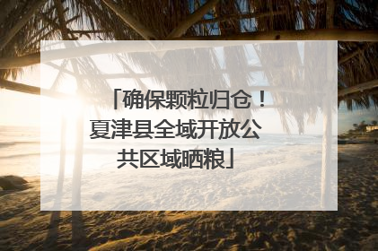 确保颗粒归仓！夏津县全域开放公共区域晒粮