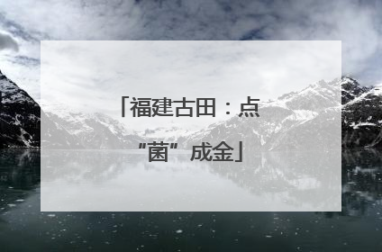 福建古田：点“菌”成金